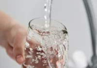 Kolejna kontrola w szkole i kolejny zakaz - zdjęcie główne