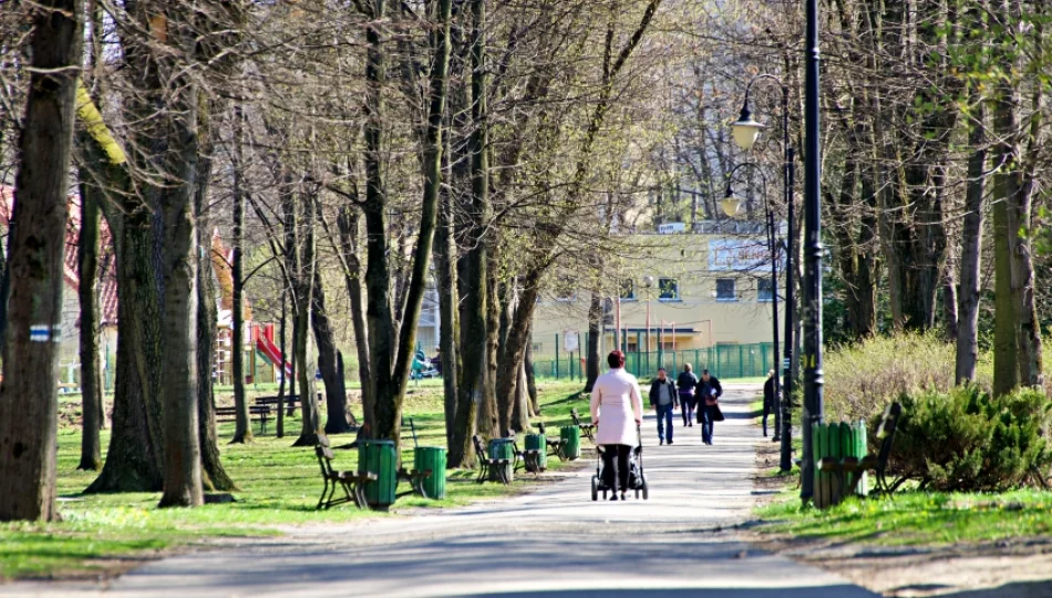 Park diametralnie zmieni się dzięki rewitalizacji - zdjęcie 1