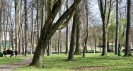 Park diametralnie zmieni się dzięki rewitalizacji - zdjęcie 4