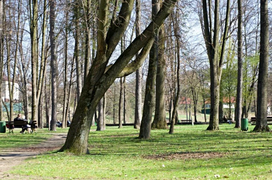 Park diametralnie zmieni się dzięki rewitalizacji - zdjęcie 4