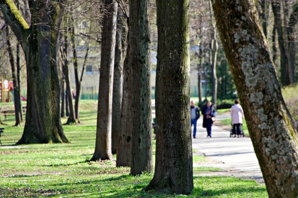 Park diametralnie zmieni się dzięki rewitalizacji - zdjęcie 5