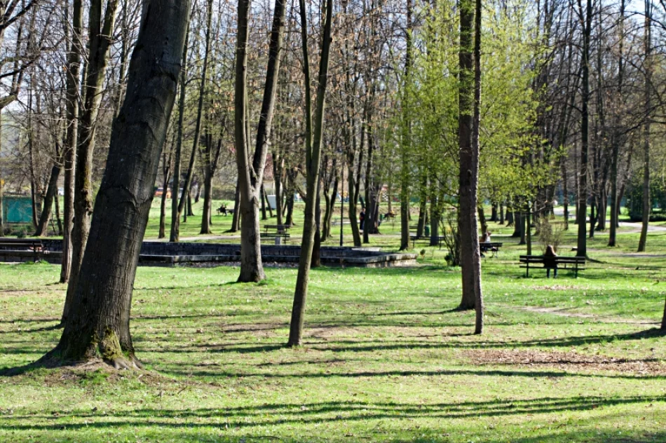 Park diametralnie zmieni się dzięki rewitalizacji - zdjęcie 6