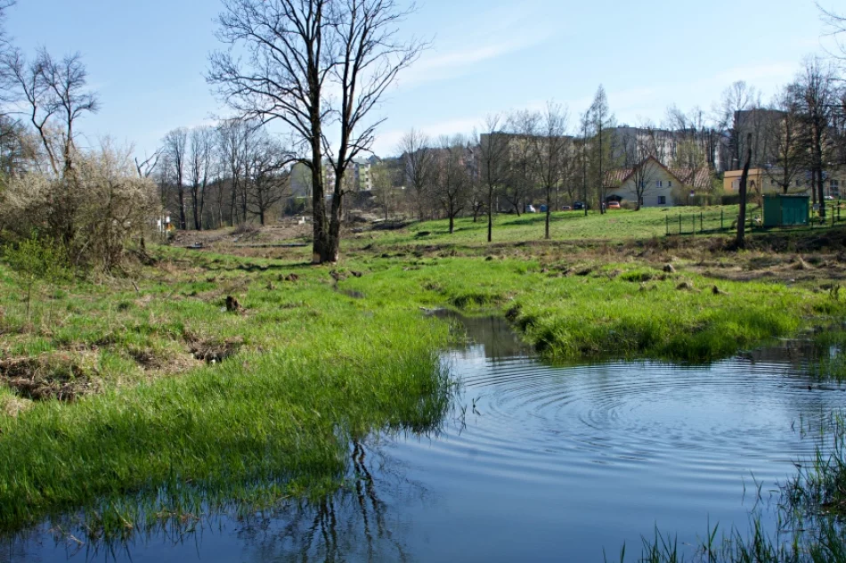 Park diametralnie zmieni się dzięki rewitalizacji - zdjęcie 7