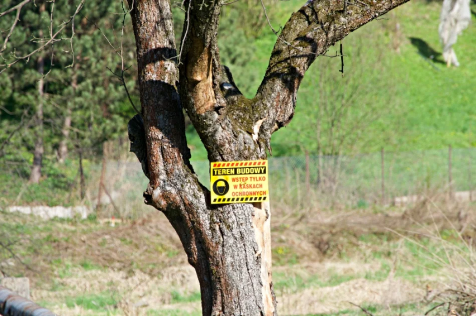 Park diametralnie zmieni się dzięki rewitalizacji - zdjęcie 9