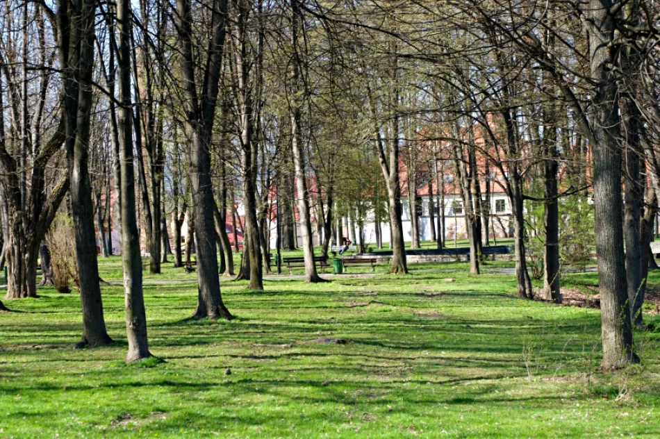 Park diametralnie zmieni się dzięki rewitalizacji - zdjęcie 11