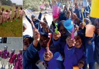 Kup Pan szczotkę! - zdjęcie główne