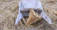 Zgodnie z tradycją, od rana psocili w centrum miejscowości - zdjęcie 5