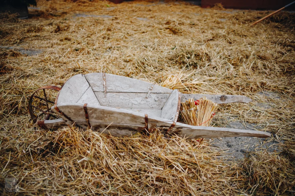 Śmiguśnioki 2019 - zdjęcie 17