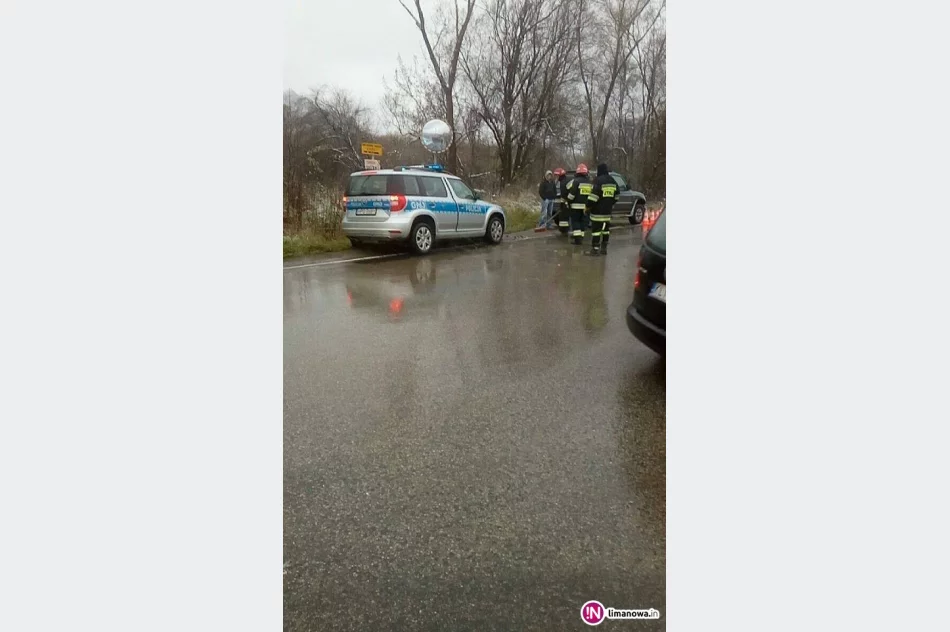 Zderzenie samochodu dostawczego i terenówki - zdjęcie 2