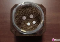 Uzgodnienie kary przedwczesne i nieuzasadnione. 'Truciciel' z dozorem, powołano biegłych - zdjęcie główne