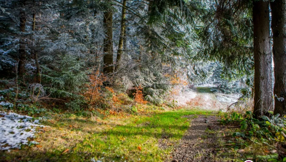 Meteorolodzy prognozują intensywne opady śniegu - zdjęcie 1