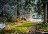 Meteorolodzy prognozują intensywne opady śniegu - zdjęcie główne