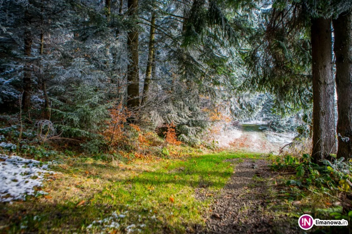 Meteorolodzy prognozują intensywne opady śniegu