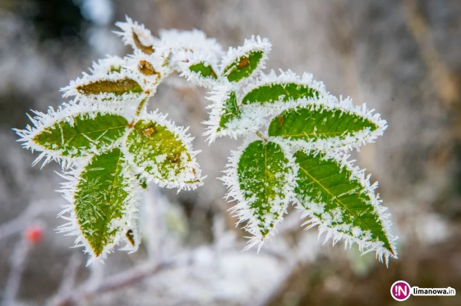 Meteorolodzy prognozują intensywne opady śniegu - zdjęcie 2