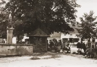 VIII Spacer Historyczny po Limanowej - zdjęcie główne