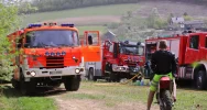 Pożar objął 2 hektary lasu - zdjęcie 2