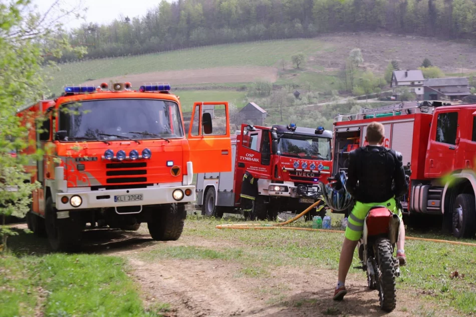Pożar objął 2 hektary lasu - zdjęcie 2