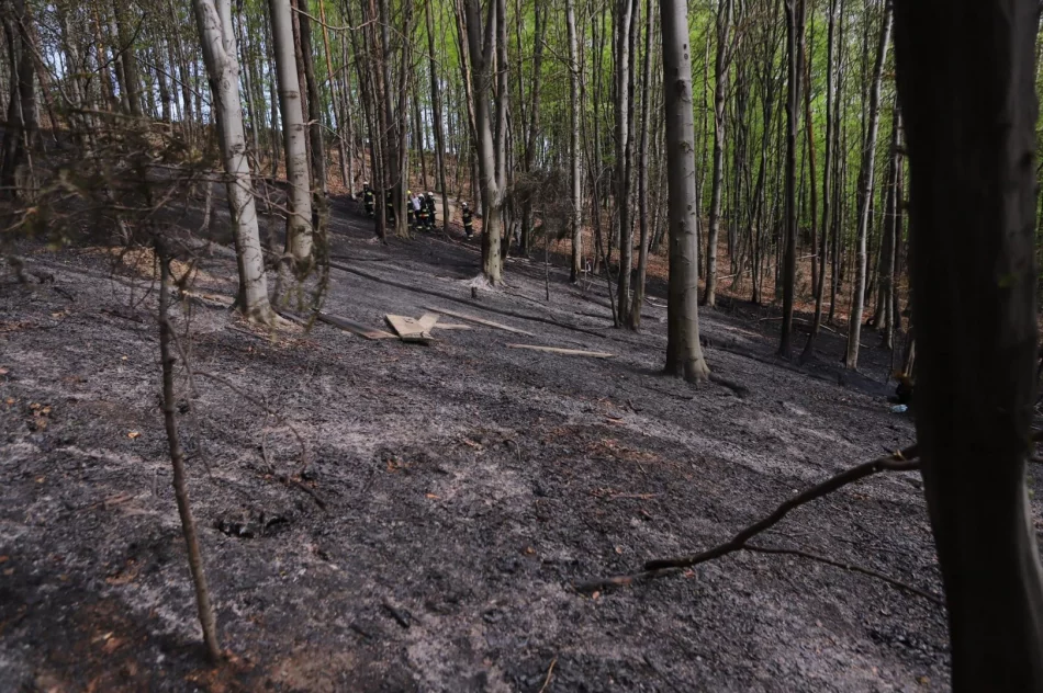 Pożar objął 2 hektary lasu - zdjęcie 3