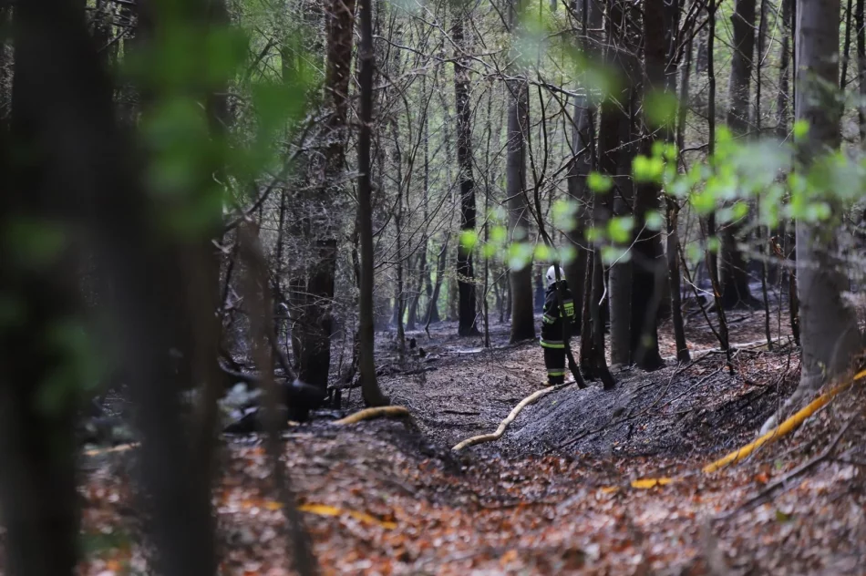 Pożar objął 2 hektary lasu - zdjęcie 4
