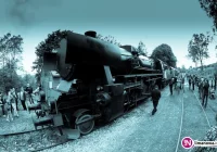 Specjalny Pociąg Niepodległości - zdjęcie główne