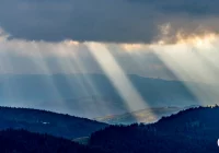 Meteorolodzy ostrzegają: silny wiatr - zdjęcie główne