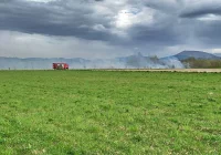 Policja przypomina - wypalanie traw jest niedozwolone! - zdjęcie główne