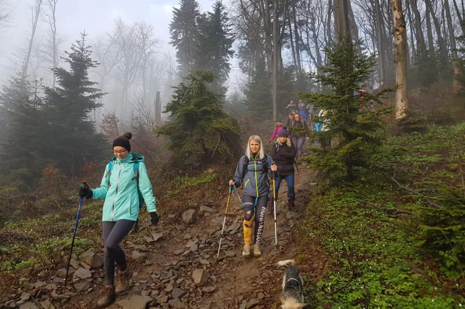 Ponad 100 piechurów uczestniczyło w VIII Tourze Mszana Dolna - zdjęcie 7