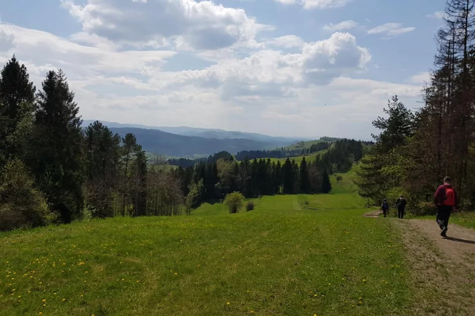 Ponad 100 piechurów uczestniczyło w VIII Tourze Mszana Dolna - zdjęcie 8