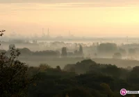 Pomóż w walce ze smogiem - zdjęcie główne