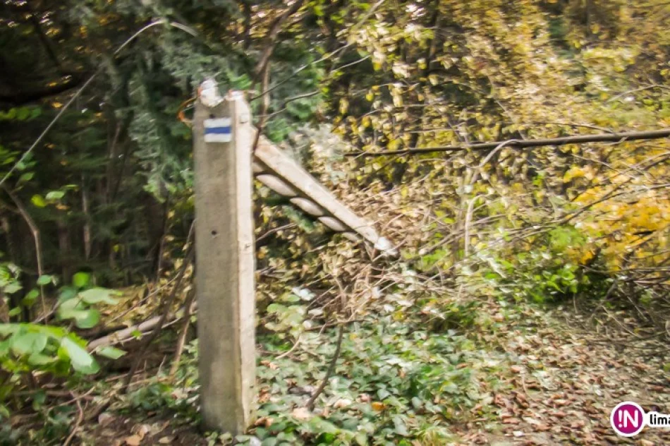 Problemy na szlaku: powalone drzewa, połamane słupy - zdjęcie 3