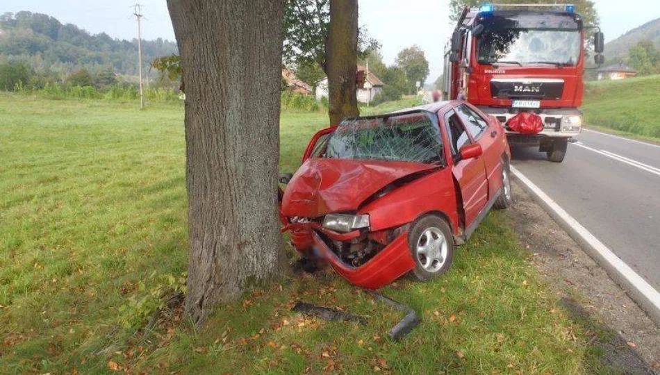 Dwóch amatorów trunków w rękach policji czyli akcja „Znicz” w toku - zdjęcie 1