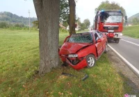 Dwóch amatorów trunków w rękach policji czyli akcja „Znicz” w toku - zdjęcie główne