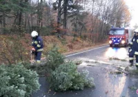 Silny wiatr nie ustaje: powalone drzewa na drogach - zdjęcie główne