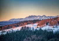 W górach może spaść do 10 cm śniegu - zdjęcie główne