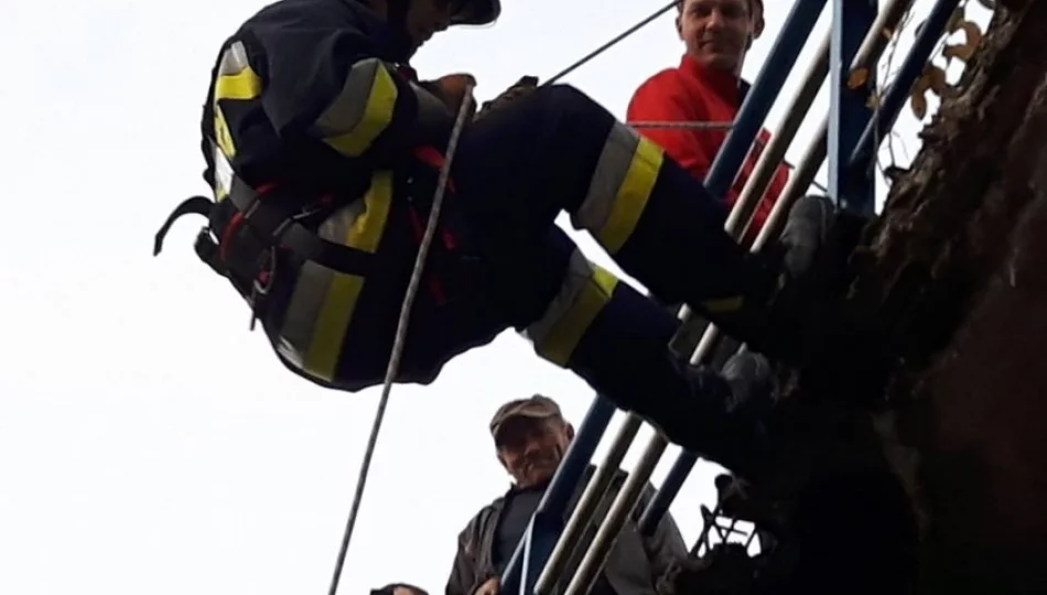 Strażacy-ochotnicy ćwiczyli ratownictwo wysokościowe - zdjęcie 1