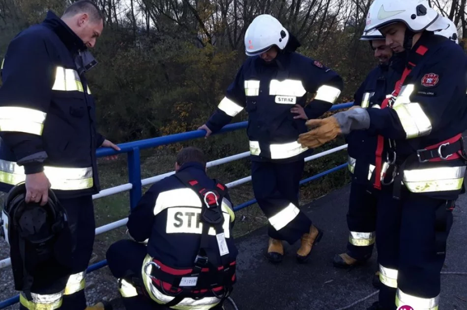 Strażacy-ochotnicy ćwiczyli ratownictwo wysokościowe - zdjęcie 2