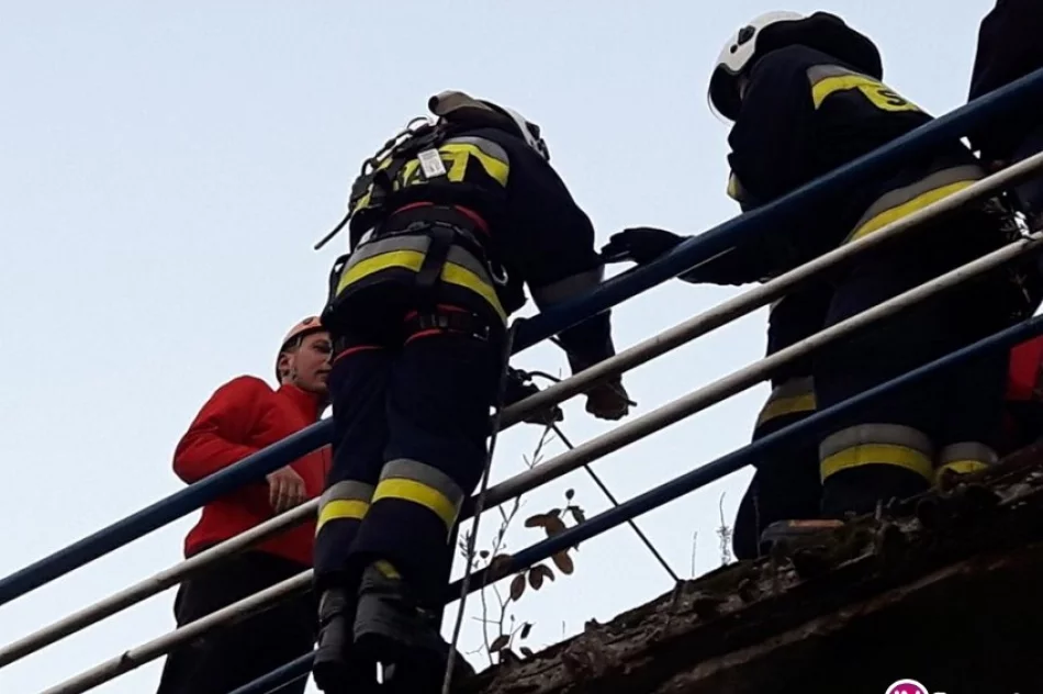 Strażacy-ochotnicy ćwiczyli ratownictwo wysokościowe - zdjęcie 3