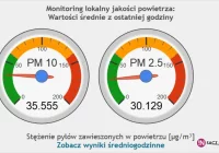 W Nowym Sączu jest enklawa czystego powietrza? - zdjęcie główne