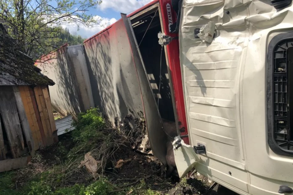 Ciężarówka przewróciła się na bok. W środku 190 sztuk tuczników - zdjęcie 2