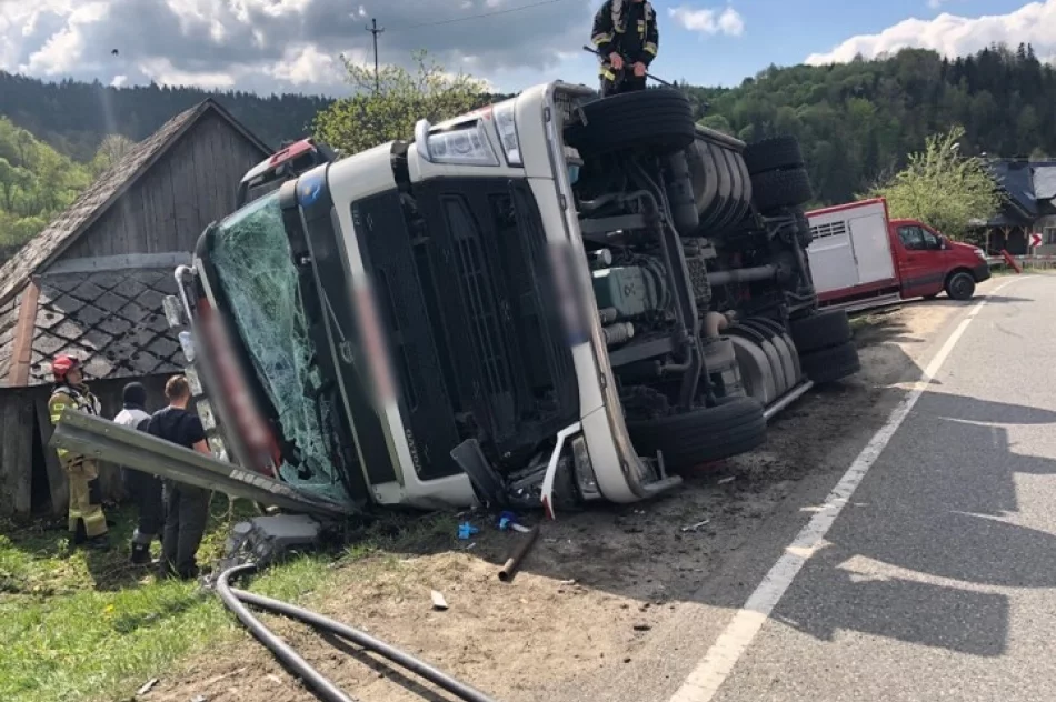 Ciężarówka przewróciła się na bok. W środku 190 sztuk tuczników - zdjęcie 4