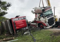 Ciężarówka przewróciła się na bok. W środku 190 sztuk tuczników - zdjęcie główne