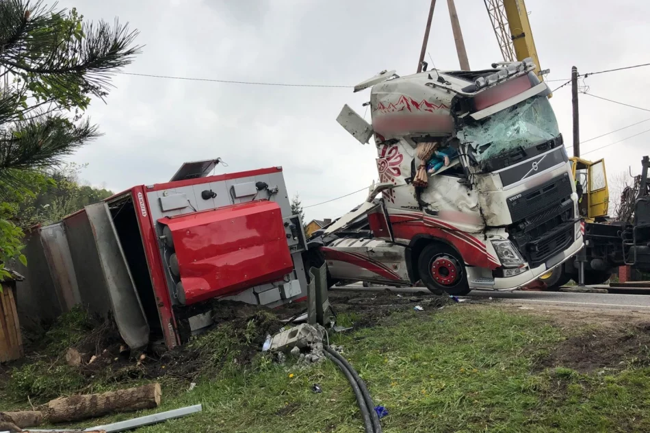 Ciężarówka przewróciła się na bok. W środku 190 sztuk tuczników - zdjęcie 8