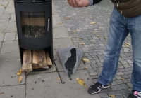 Nie emituje dymu i pyłu, ale dużo kosztuje - zdjęcie główne