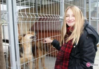 25 psów z Chełmca ma nowy dom - zdjęcie główne