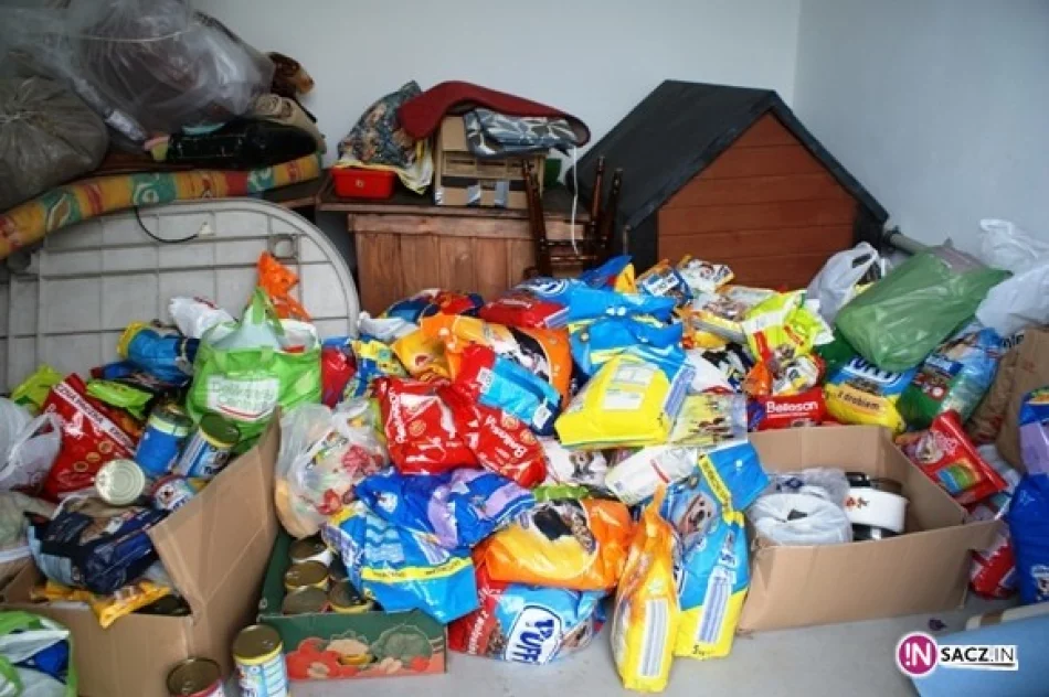 25 psów z Chełmca ma nowy dom - zdjęcie 2