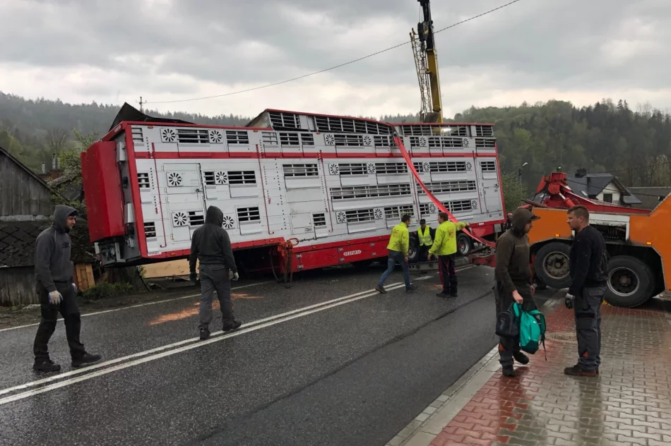 Ciężarówce miał zajechać drogę inny kierowca - firma szuka świadków zdarzenia - zdjęcie 2