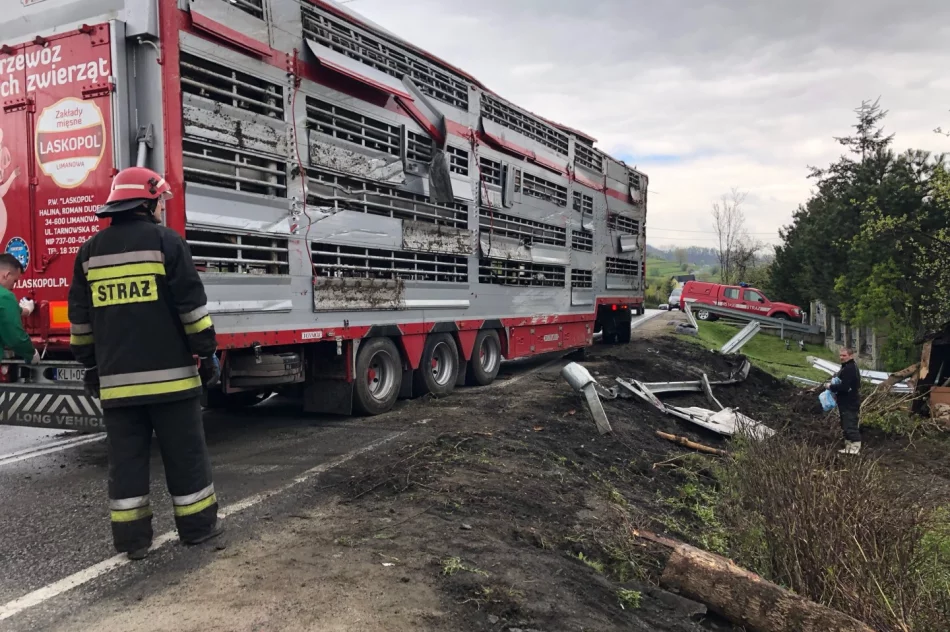 Ciężarówce miał zajechać drogę inny kierowca - firma szuka świadków zdarzenia - zdjęcie 14