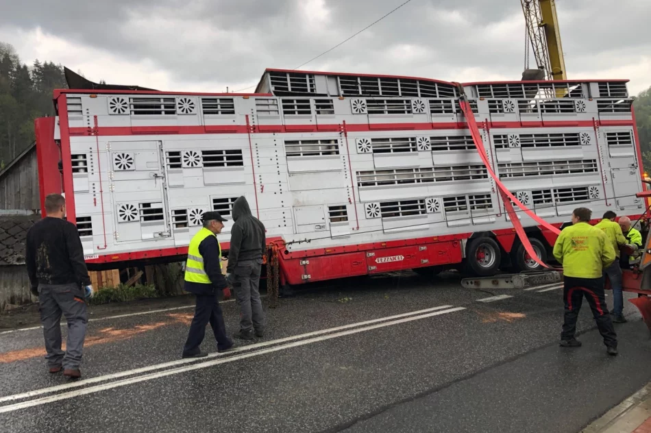 Ciężarówce miał zajechać drogę inny kierowca - firma szuka świadków zdarzenia - zdjęcie 16