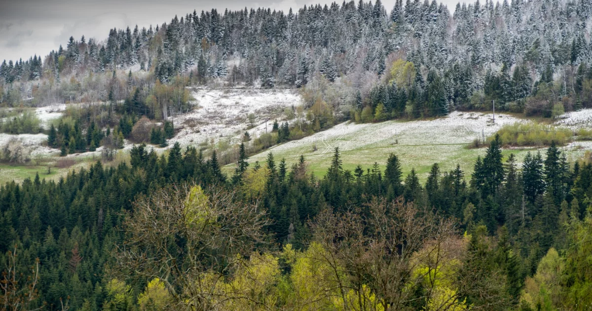 IMGW: kolejna noc z możliwymi przymrozkami