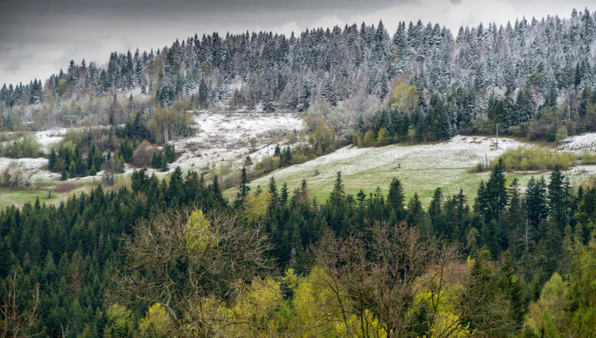 Prognoza pogody do stycznia: deszcz może zgasić znicze na grobach, a śnieg spadnie po świętach